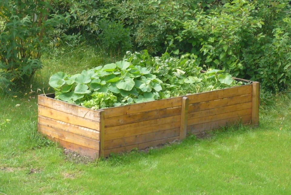Timber boards forming a raised vegetable garden bed