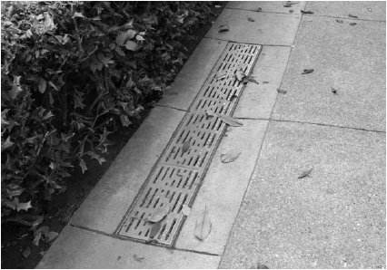 A grated surface drain intercepting runoff beside a paved area.